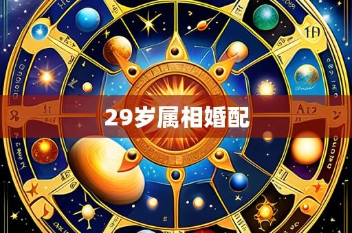 29岁属相婚配