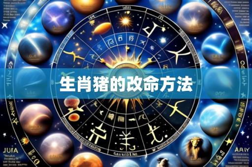 生肖猪的改命方法