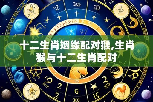十二生肖姻缘配对猴,生肖猴与十二生肖配对