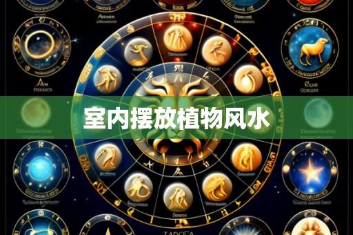 室内摆放植物风水
