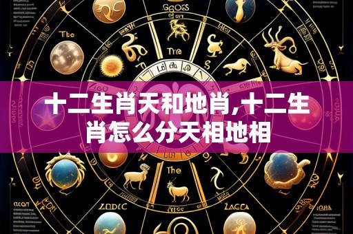 十二生肖天和地肖,十二生肖怎么分天相地相