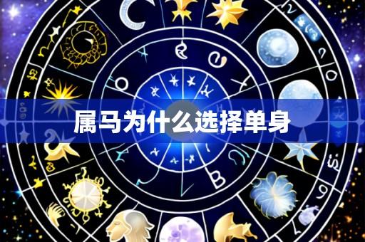 属马为什么选择单身