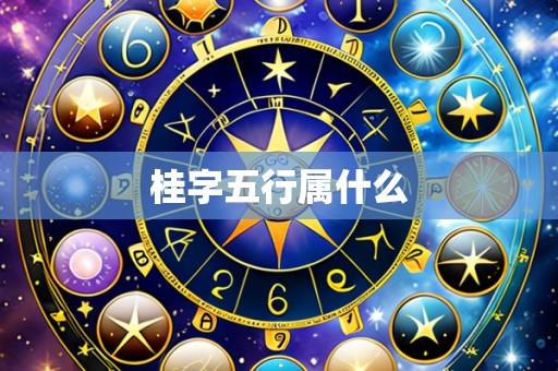 桂字五行属什么