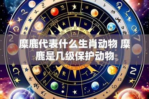 糜鹿代表什么生肖动物 糜鹿是几级保护动物