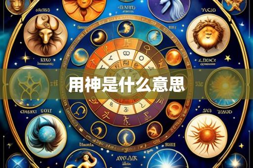 用神是什么意思