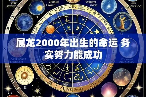 属龙2000年出生的命运 务实努力能成功