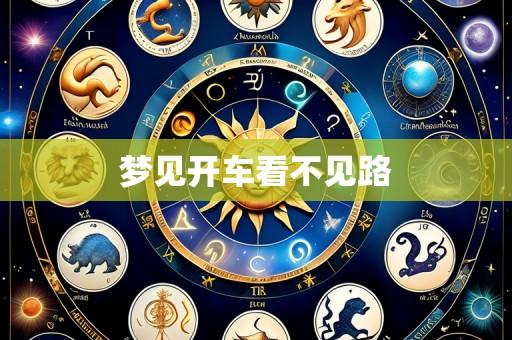 梦见开车看不见路