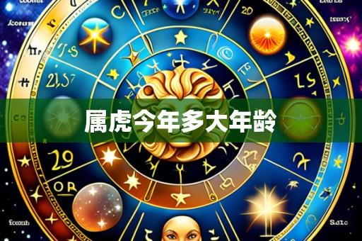 属虎今年多大年龄