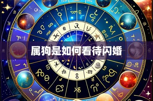 属狗是如何看待闪婚