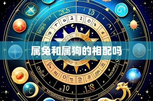 属兔和属狗的相配吗