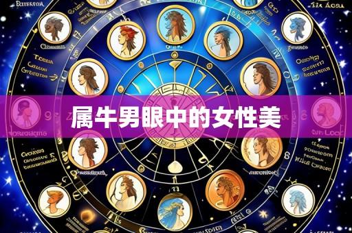 属牛男眼中的女性美