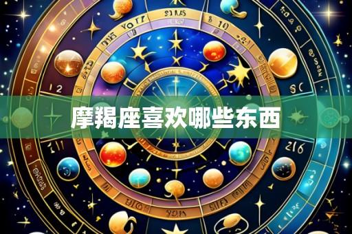 摩羯座喜欢哪些东西