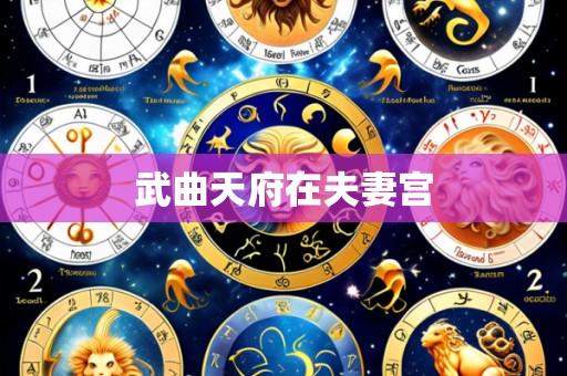 武曲天府在夫妻宫