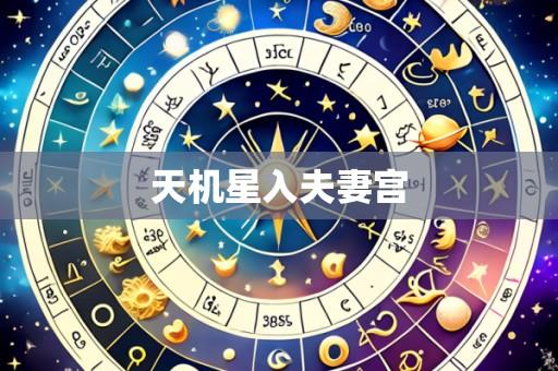 天机星入夫妻宫
