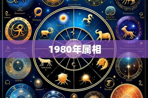 1980年属相