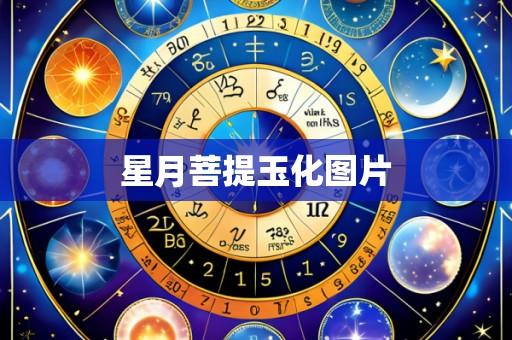 星月菩提玉化图片