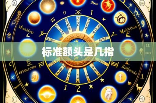 标准额头是几指
