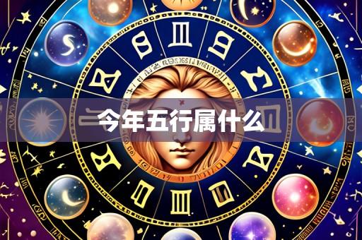 今年五行属什么