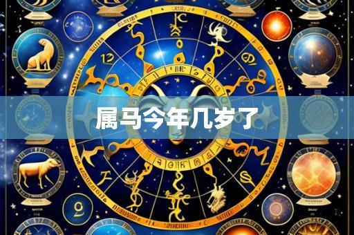 属马今年几岁了