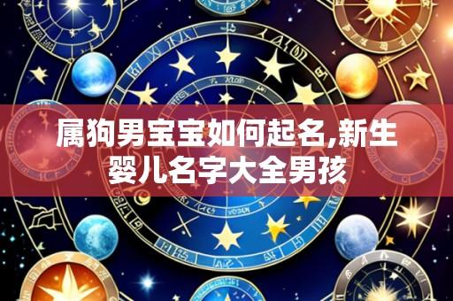 属狗男宝宝如何起名,新生婴儿名字大全男孩