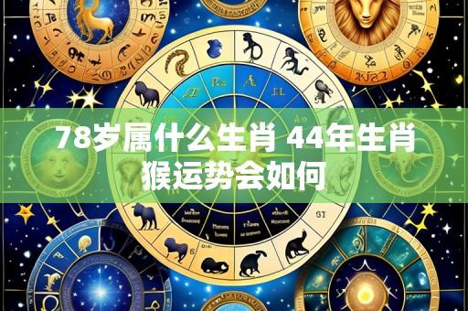 78岁属什么生肖 44年生肖猴运势会如何