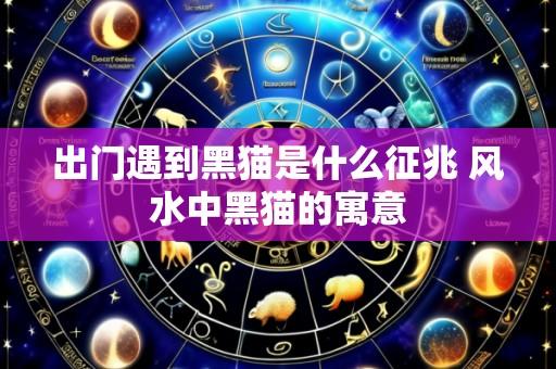 出门遇到黑猫是什么征兆 风水中黑猫的寓意