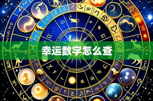 幸运数字怎么查