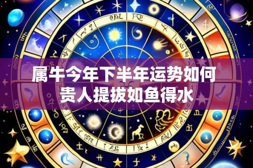 属牛今年下半年运势如何 贵人提拔如鱼得水