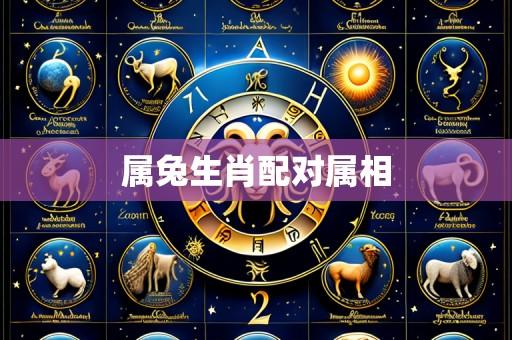 属兔生肖配对属相