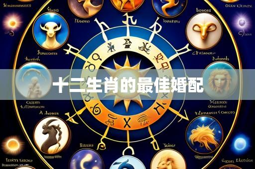 十二生肖的最佳婚配