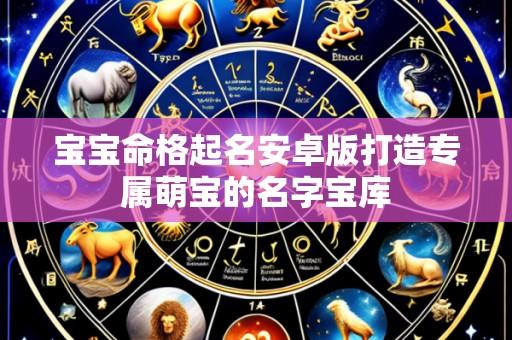 宝宝命格起名安卓版打造专属萌宝的名字宝库