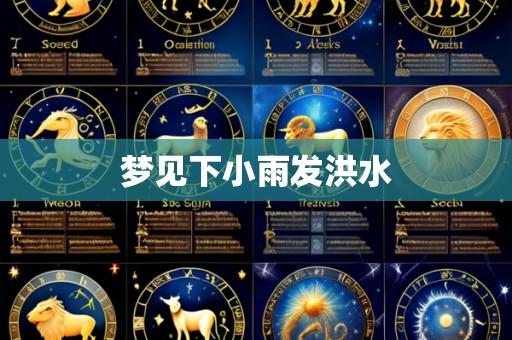 梦见下小雨发洪水