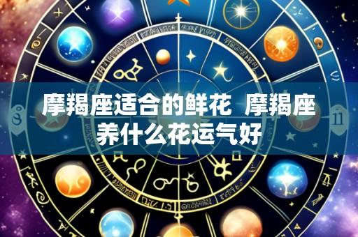 摩羯座适合的鲜花  摩羯座养什么花运气好