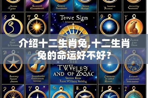 介绍十二生肖兔,十二生肖兔的命运好不好?