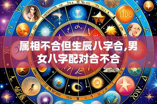 属相不合但生辰八字合,男女八字配对合不合