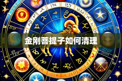 金刚菩提子如何清理