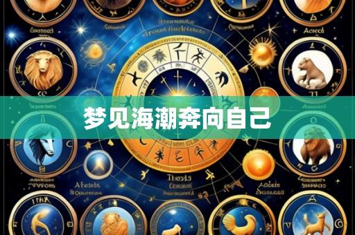 梦见海潮奔向自己