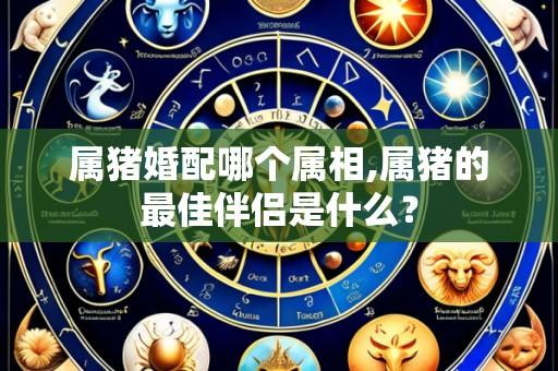 属猪婚配哪个属相,属猪的最佳伴侣是什么?