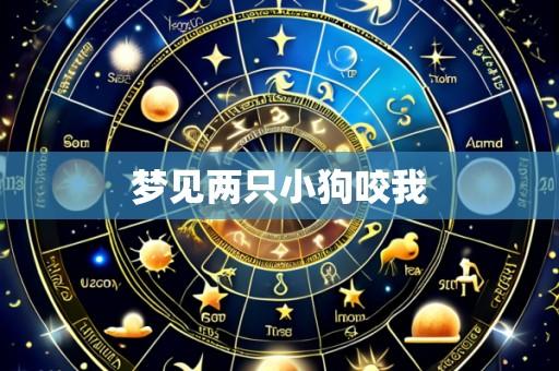 梦见两只小狗咬我