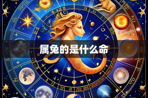 属兔的是什么命