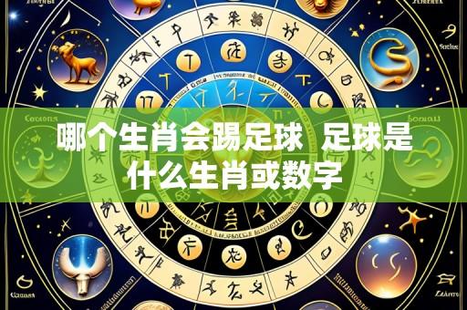 哪个生肖会踢足球 足球是什么生肖或数字