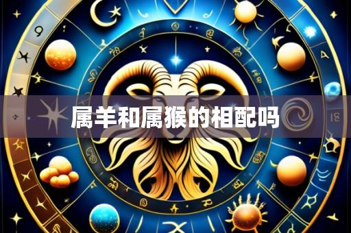 属羊和属猴的相配吗