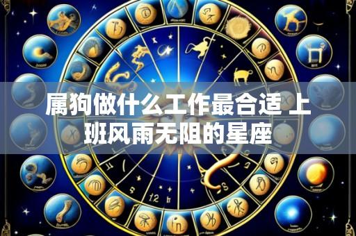 属狗做什么工作最合适 上班风雨无阻的星座