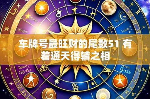 车牌号最旺财的尾数51 有着通天得辅之相