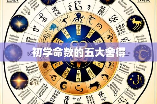 初学命数的五大舍得