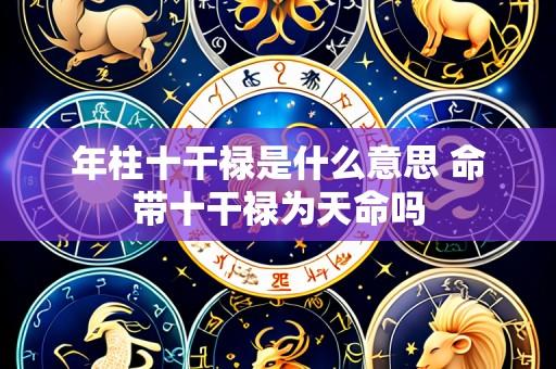 年柱十干禄是什么意思 命带十干禄为天命吗
