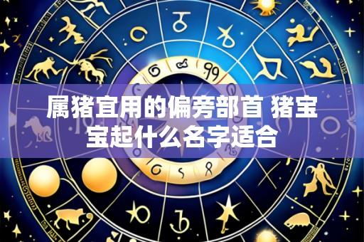 属猪宜用的偏旁部首 猪宝宝起什么名字适合