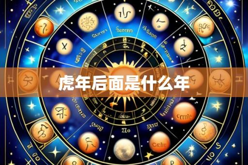 虎年后面是什么年