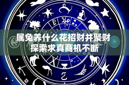 属兔养什么花招财并聚财 探索求真商机不断