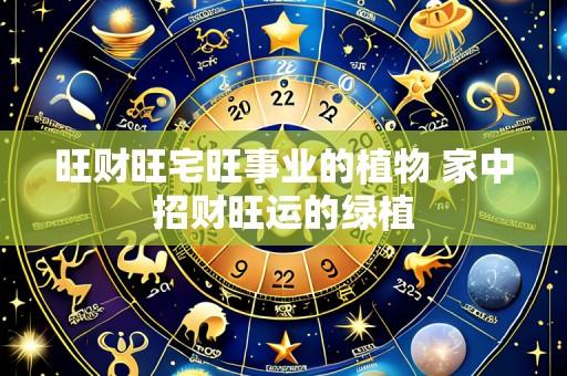旺财旺宅旺事业的植物 家中招财旺运的绿植